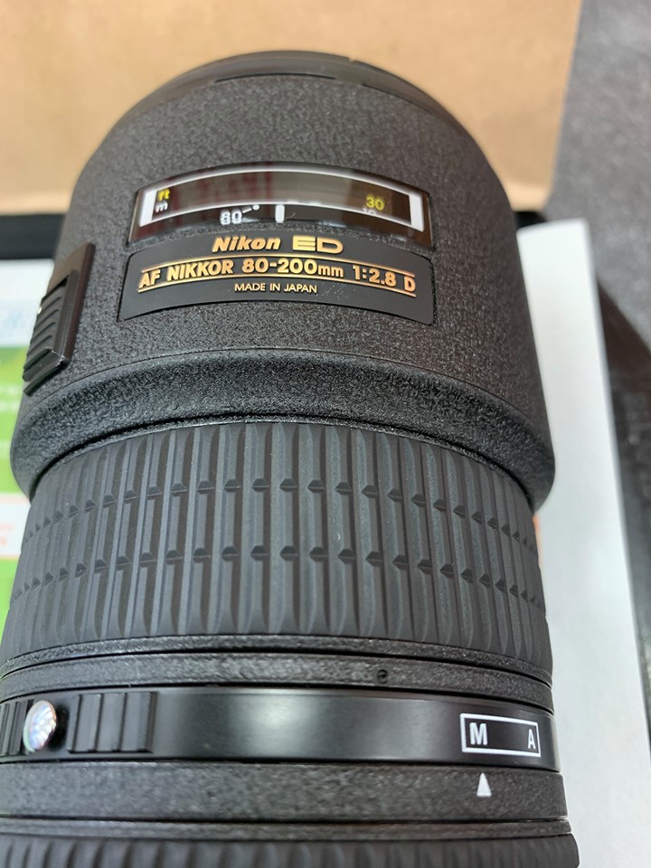 59392907_2243624212383775_5393977804171771904_n